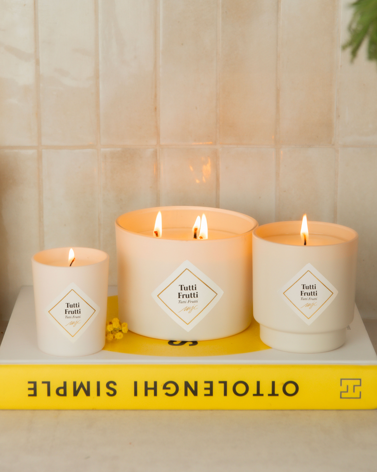 Vela grande Tutti Frutti