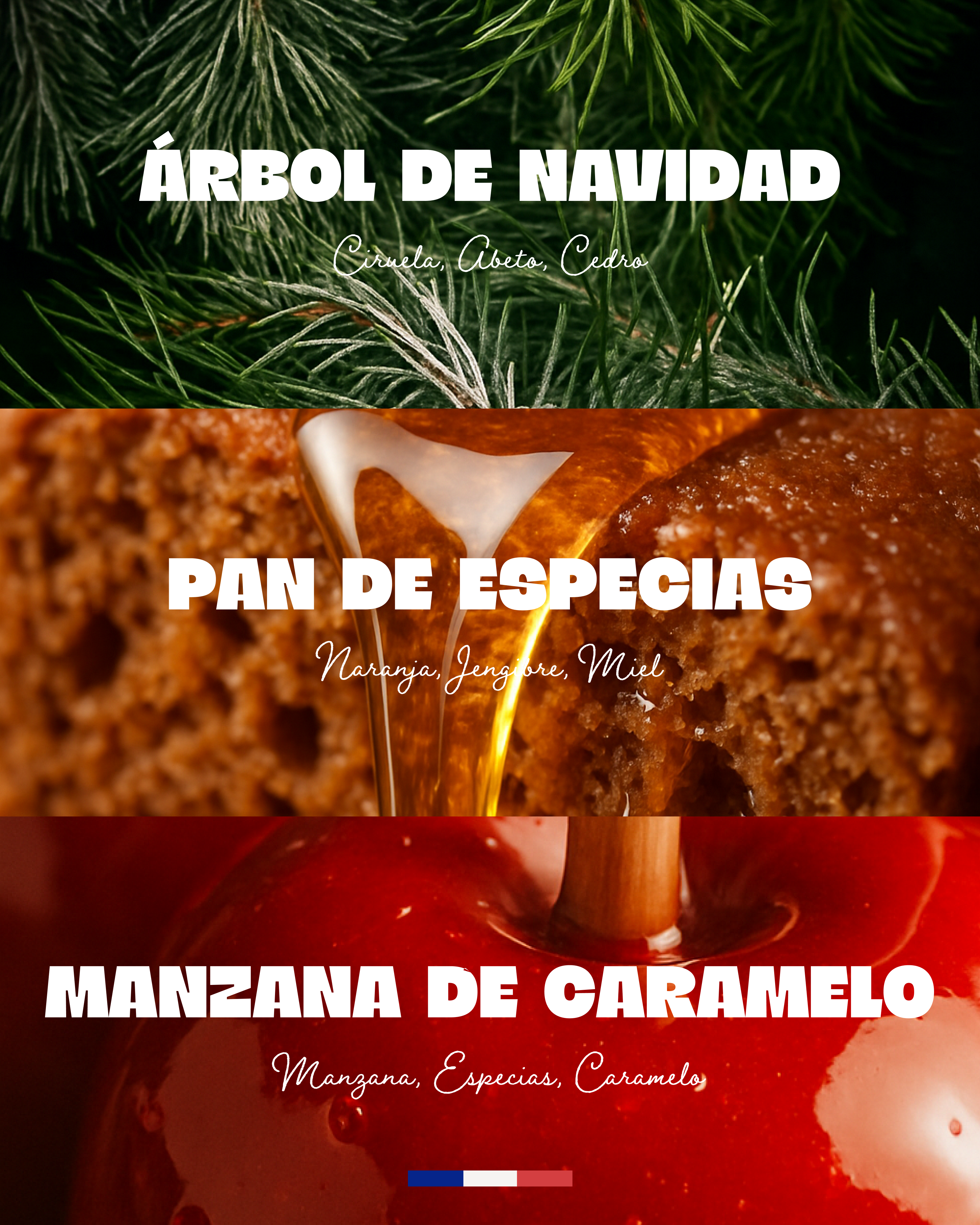 Estuche Una tarde de fiesta