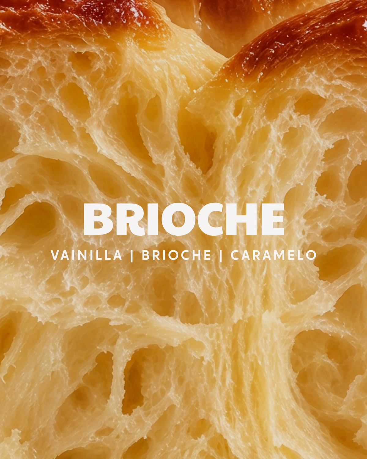 Vela Brioche