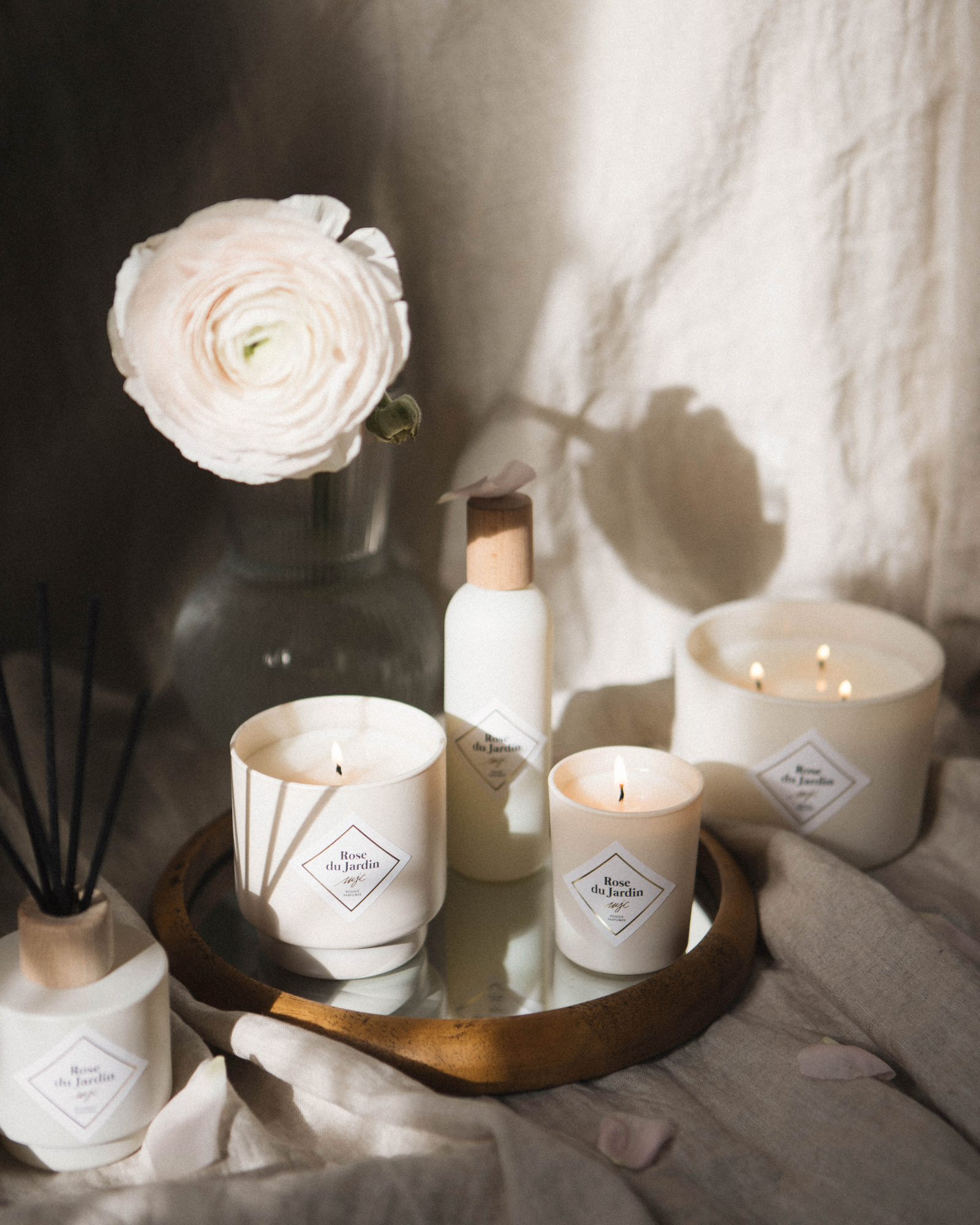 Vela Rosa del Jardín