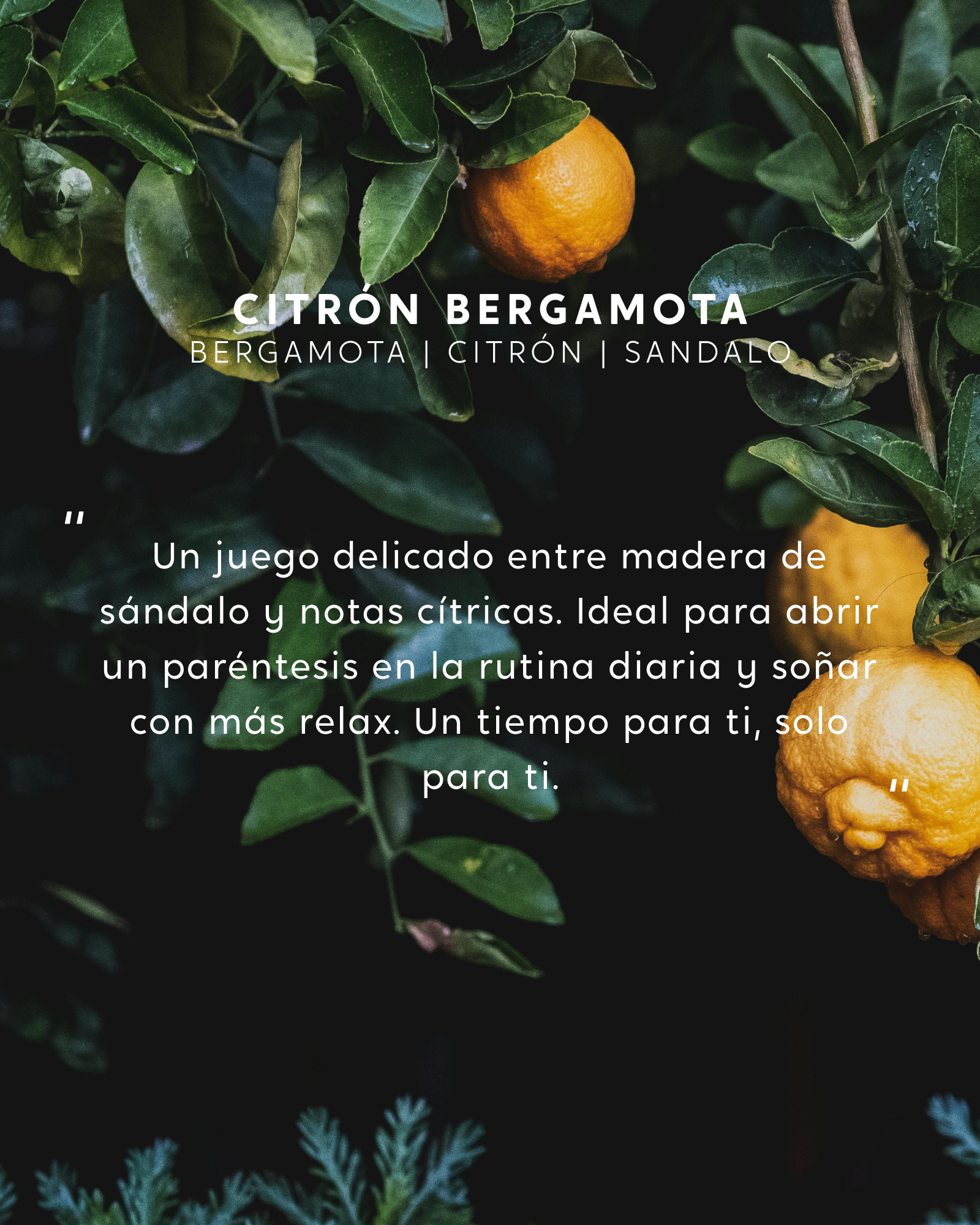 Vela con joya Citrón Bergamota