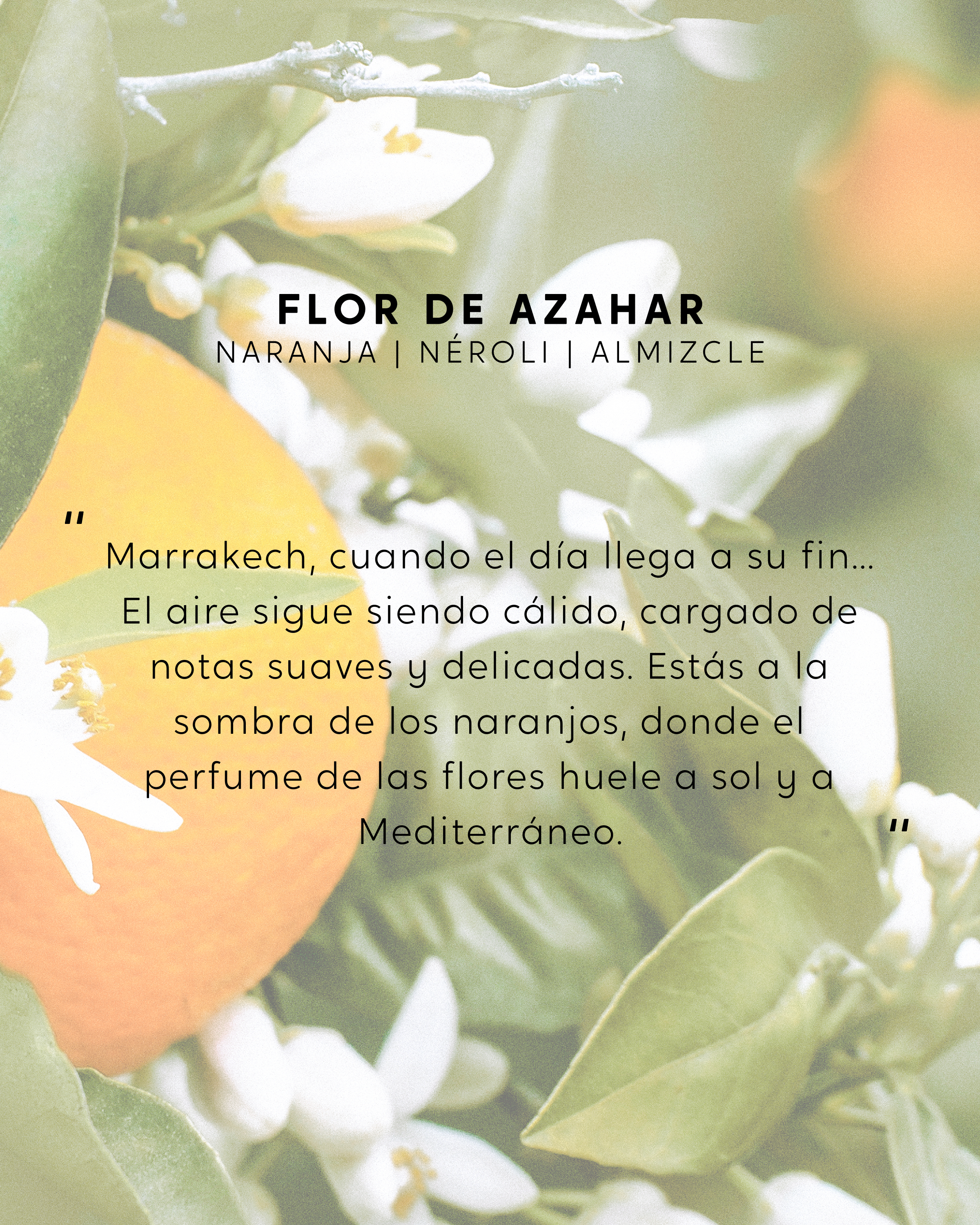 Vela Flor de Azahar
