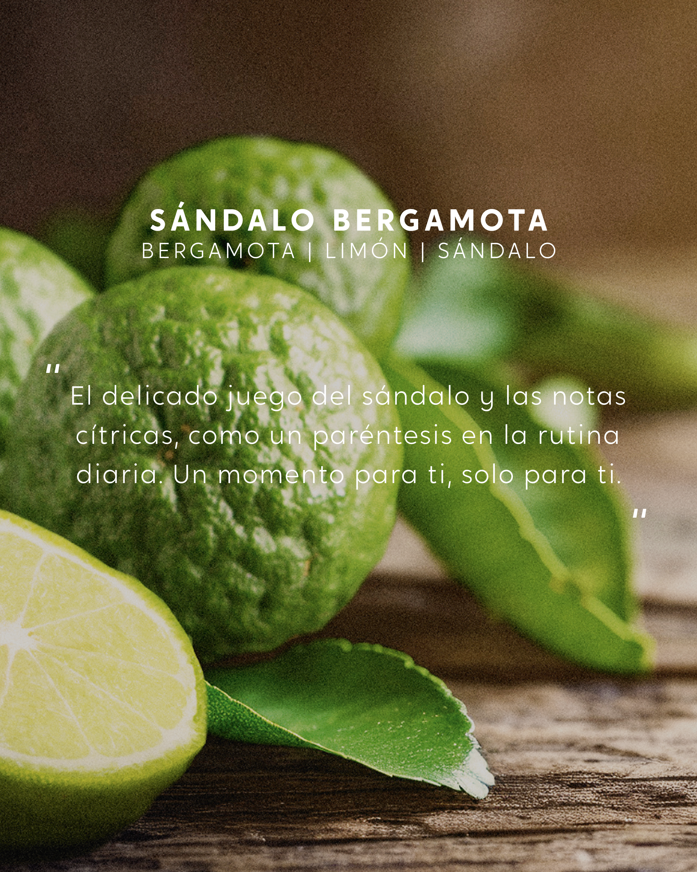 Vela grande Sándalo Bergamota