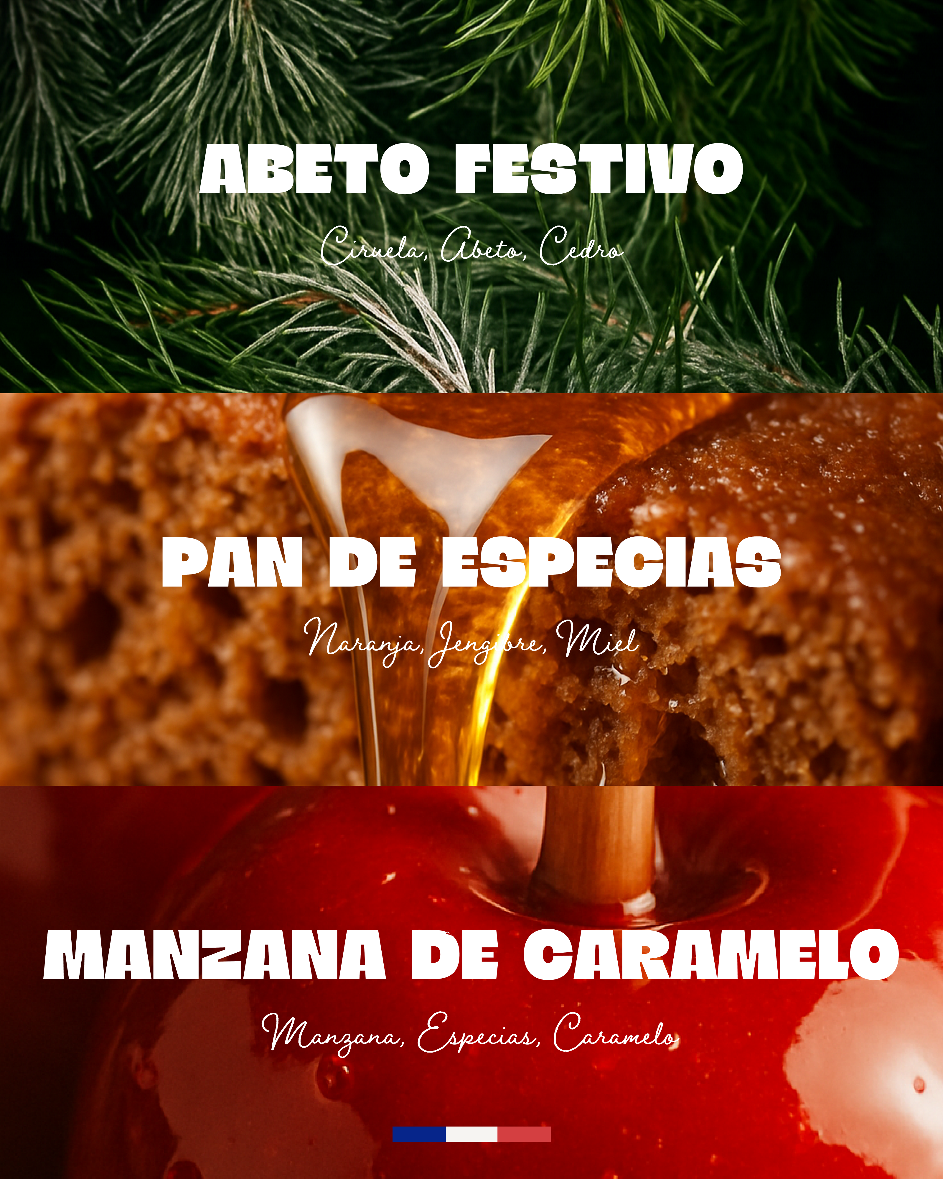 Estuche Una tarde de fiesta