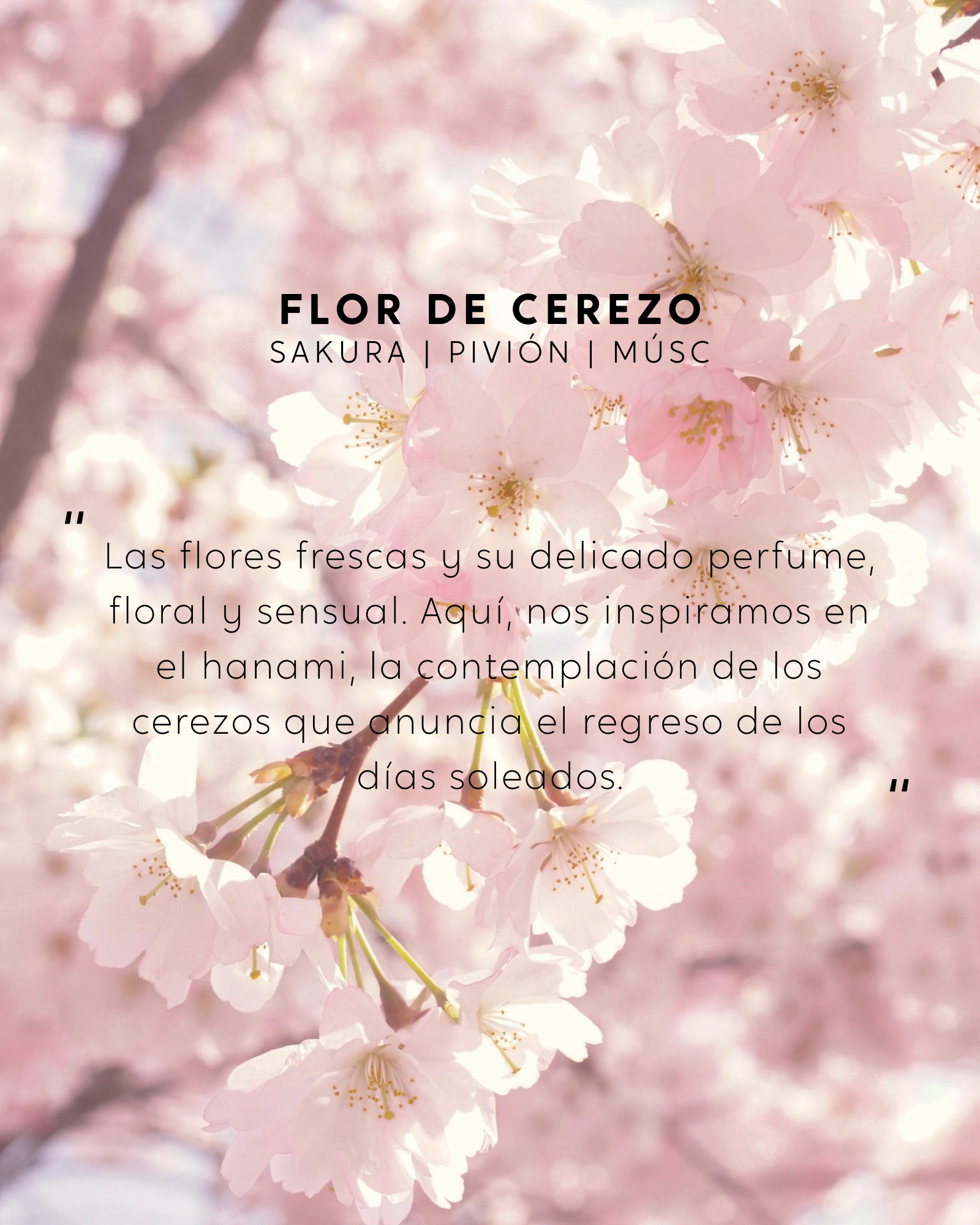 Vela con joya - Flor de Cerezo