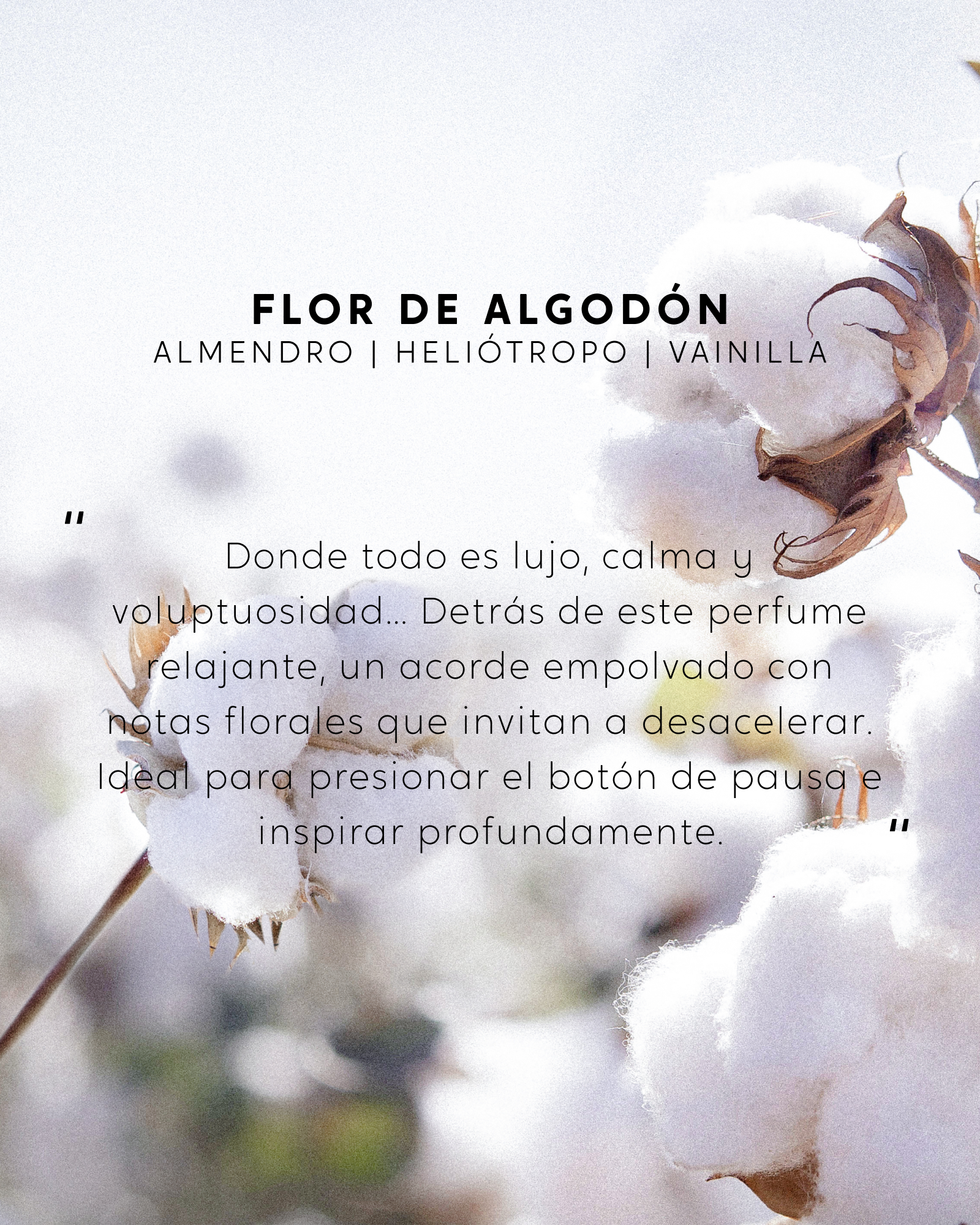 Vela con joya - Flor de Algodón