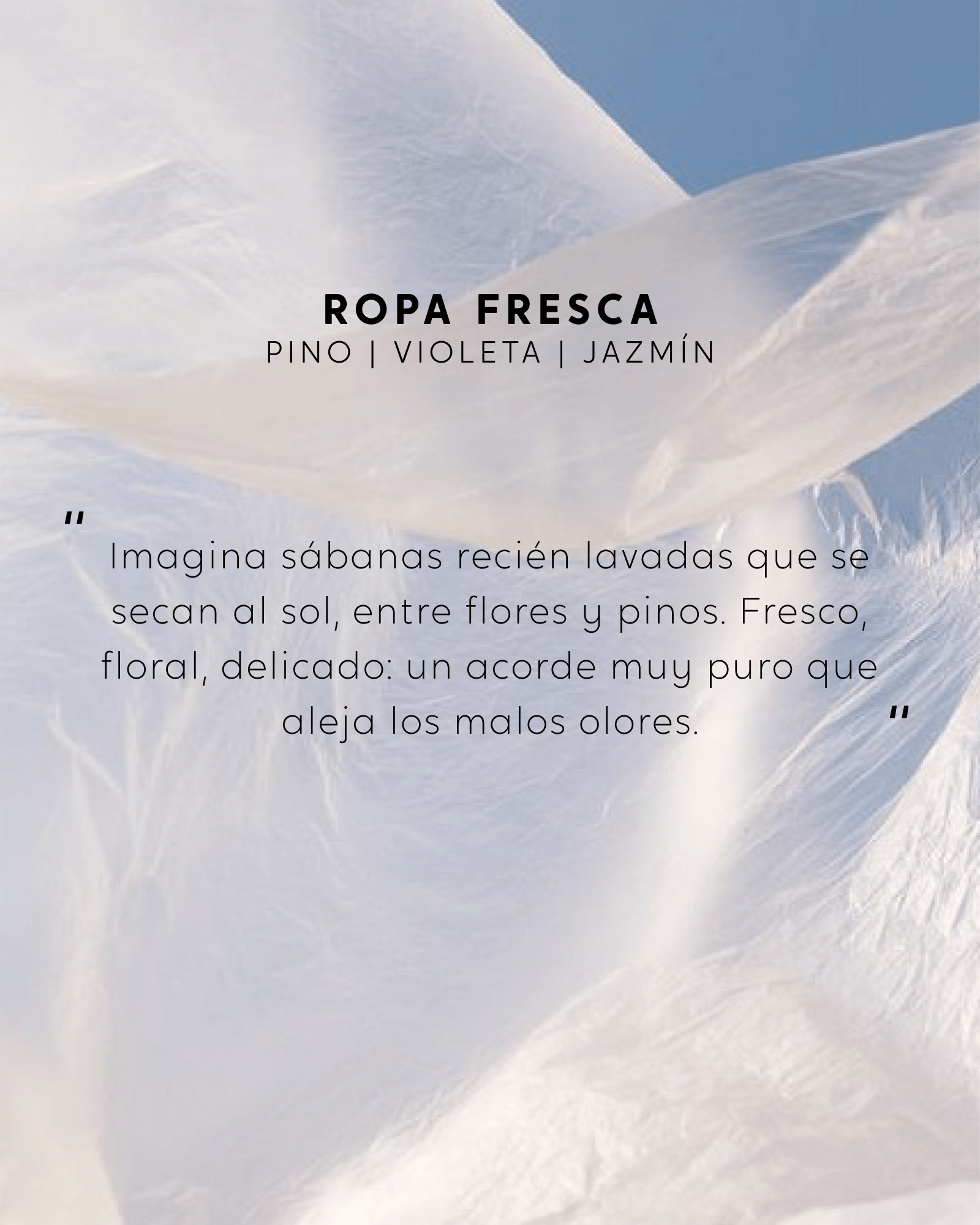 Vela con joya - Ropa Fresca