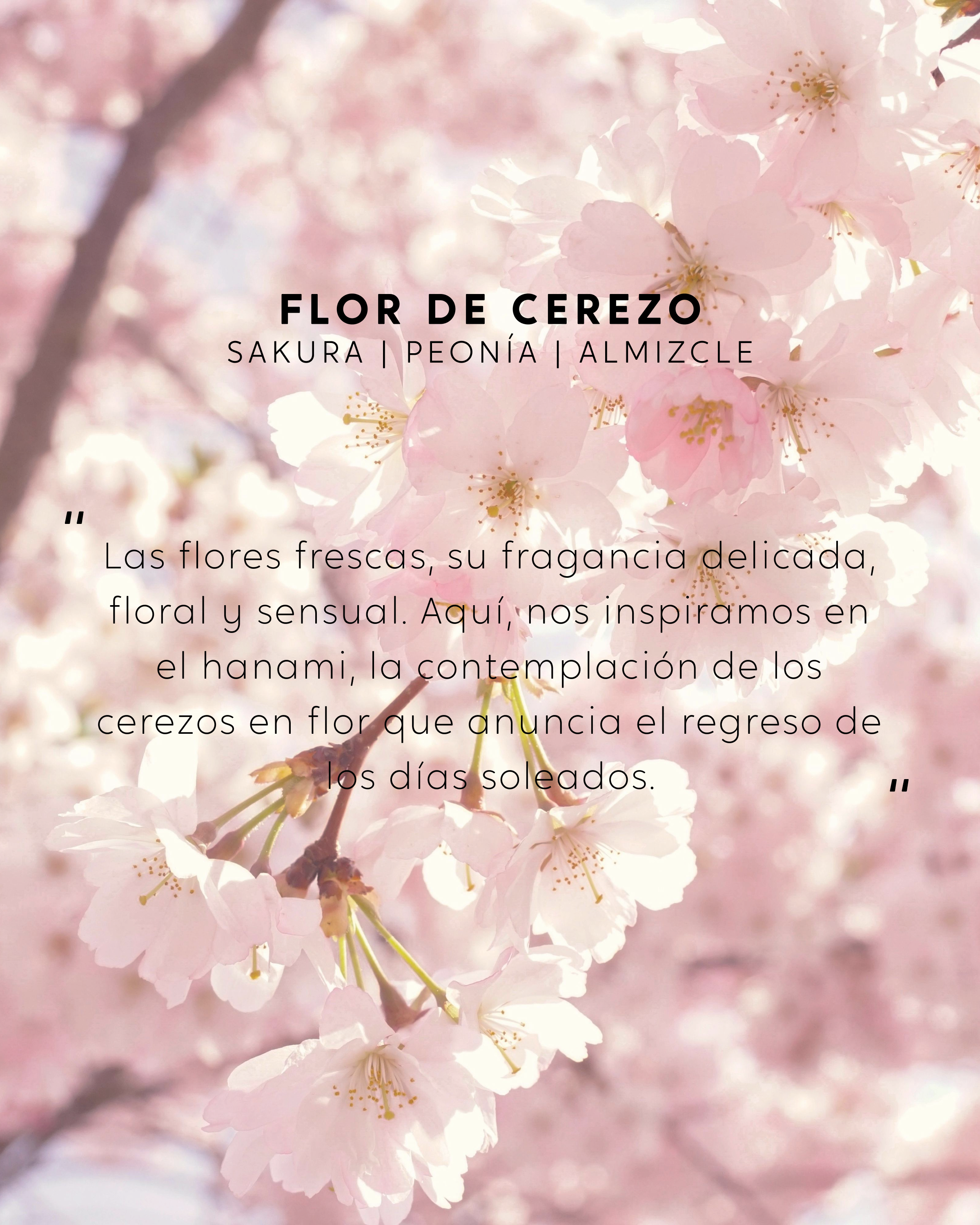 Vela grande Flor de Cerezo