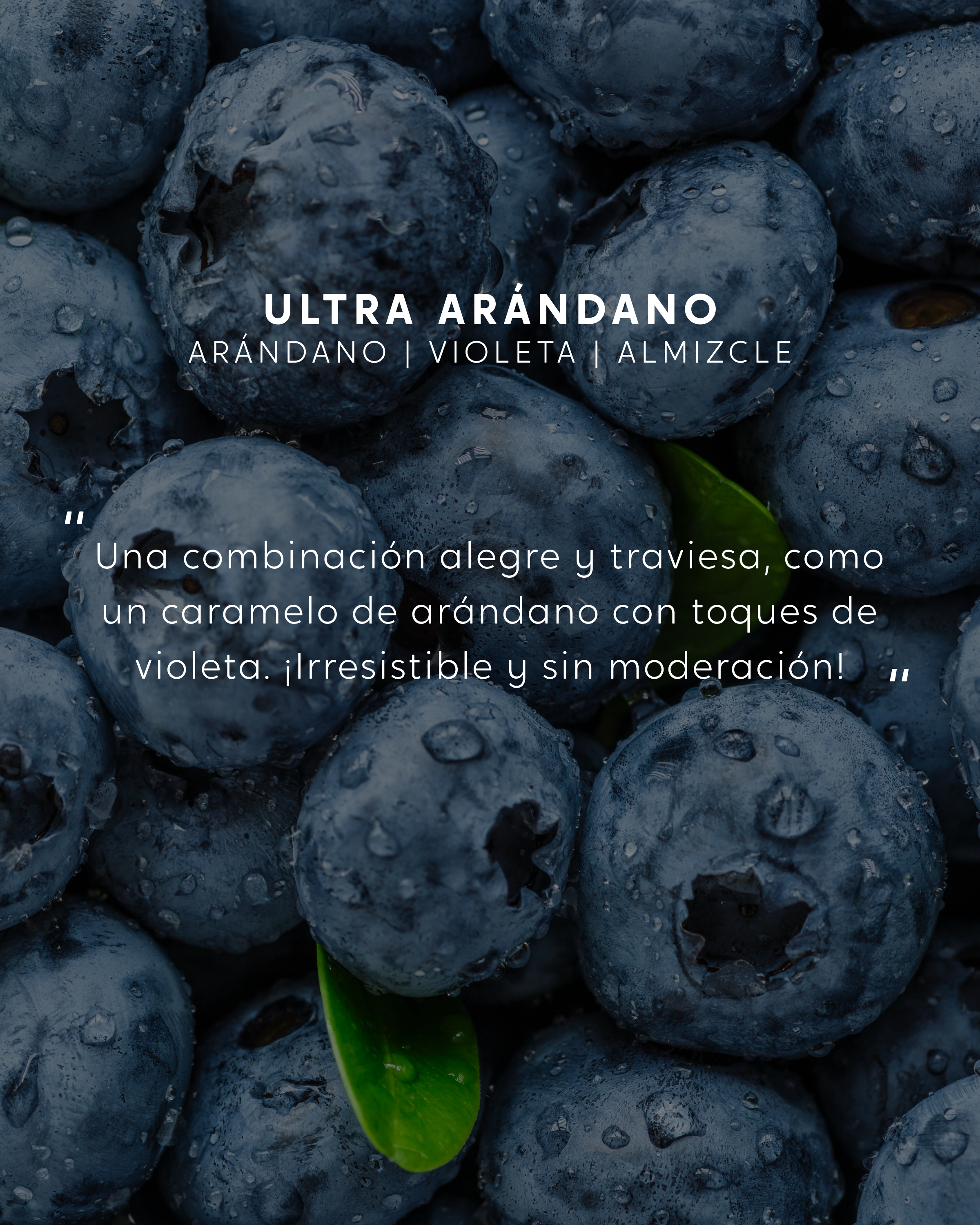 Vela grande Ultra Arándano